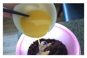 奥利奥芝士蛋糕的制作方法（美味易做的甜点佳品）