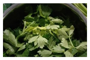 蒜蓉芹菜叶的做法（清爽又营养的家常菜）
