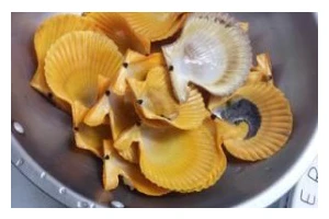 鲜香美味，蒜香炒贝壳的制作方法（家庭厨艺必备，不一样的海鲜风味）