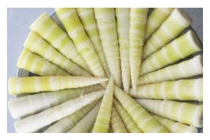 品尝鲜笋野生桂鱼汤，享受天然的美味（家常美食，健康营养，用上新鲜食材，轻松烹调）