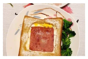 简单易学的素食吐司新品，以健康美味为宗旨（简单易学的素食吐司新品，以健康美味为宗旨）