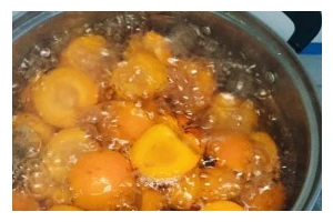 杏子罐头制作全攻略（手把手教你如何在家制作美味可口的杏子罐头）