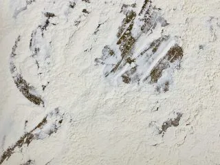 青花瓷冰皮月饼,手粉：糯米粉50克放入烤盘，入烤箱上下火180度烤5分钟取出翻拌均匀 在烤3分钟，取出晾凉备用。