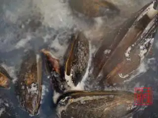 承味海鲜鲍鱼蝴蝶意面，其实西餐的我也可以,煮蛤蜊3分钟。都是大火开了之后算时间的，在煮蛤蜊的时候可以加少量的葱姜在里边，为了去腥。