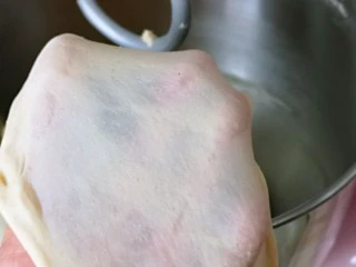 沙拉火腿面包卷,揉到不容易破的手套膜，就可以进行发酵了。