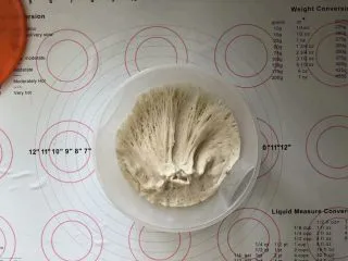 黑加仑黑米软欧包,1、提前制作好老面。