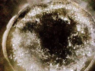 意大利面原来可以这样做，简单、营养、美味,锅中加水，烧开后加入一勺盐、一勺橄榄油，可以让面的质地更紧实有弹性。