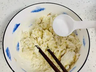 一次发酵——虾仁牛肉肠披萨,加入食用盐