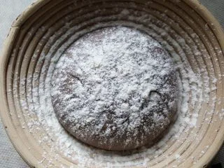 天然酵种割口欧包,当面团发酵到两倍大时,发酵好后,上面撒适量的高筋面粉,防粘。