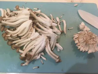 迷迭香烤羊排套餐,蟹味菇去蒂洗净