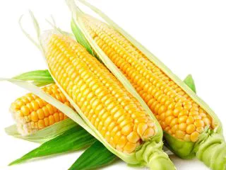 芝士就是力量-----香甜芝士玉米,可以选用这种甜玉米,但是烤制之前需要先煮熟然后把玉米粒播下来,吸干水分备用