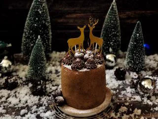 圣诞咖啡奶油蛋糕,成品图