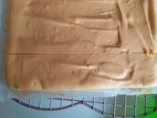 咸蛋黄肉松盒子蛋糕,蛋糕烤好，放冷却架上放凉再切小