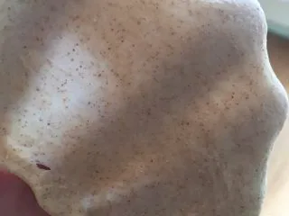 奶油黑麦奶酪包,面团出手套膜就可以。