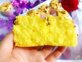 玉米面杯子蛋糕(少油少糖粗粮蛋糕),掰开看看,组织细腻,气孔均匀