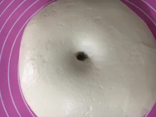 海蒂白面包（白屁股面包）,手指沾面粉戳洞，不回缩即可