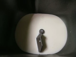 没有鸡蛋的面包,牛奶放入面包机桶