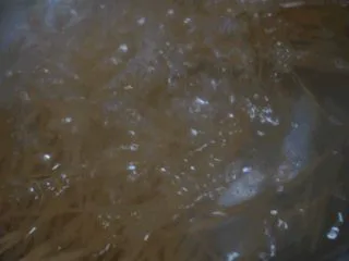 番茄肉酱意粉,取一个干净的锅，倒入清水，水沸后加入意粉，煮10分钟左右便可捞起