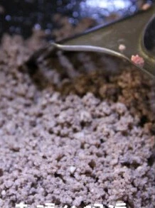 意大利肉酱面 ,炒锅中倒入橄榄油，待油温五成热时下入牛肉馅，以中小火煸炒至牛肉馅无水分时盛出备用