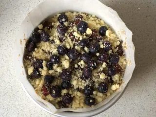 蓝莓秒芙蛋糕,再将剩余的面糊倒入，用刮刀抹平表面，撒上金宝和蓝莓、果干装饰一下 