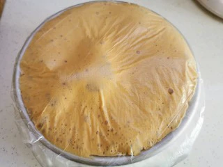 红糖发糕的家常做法（1个蛋）,像这样的状态就可以了