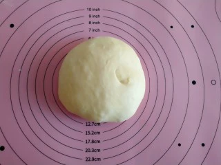 海苔肉松面包,取出面团轻轻摁压排气。