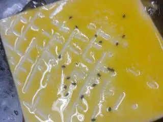 俄式酥皮 罗宋汤,注: 酥皮面上涂抹鸡蛋黄 画出条纹 撒黑芝麻 芝士粉一点点 放汤盅上封口入烤盘180度焗烤起金黄酥层即可