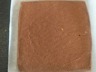 脆皮巧克力蛋糕卷,好好的蛋糕片。冷却后。