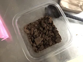 梦龙脆皮盒子,撒上一层奥利奥饼干碎。