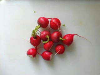 清爽樱桃萝卜,樱桃萝卜洗净,萝卜樱子不要扔掉,分开放,备用。