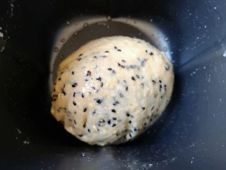 麦片芝麻小餐包,第二次15分钟和面程序结束以后,面团不用取出,直接放在面包机里面常温发酵至两倍大。