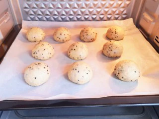 麦片芝麻小餐包,烤箱调至“发酵”功能,将面包放入烤箱内,40度发酵40分钟。