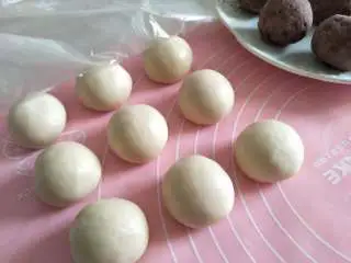 酥掉渣的蛋黄酥，月饼季做起来,全部制作完毕后，静置15分钟。