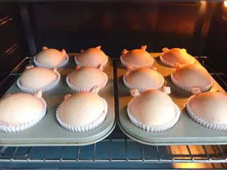 猪猪椰蓉小面包,烤箱170度预热，放入后调制150度烤10分钟，覆盖锡箔纸，再烤15分钟。