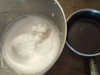 十分优秀de巧克力戚风蛋糕,打法到提起打蛋头有尖尖角的时间，就OK了混合巧克力面糊啊