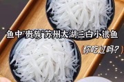 银鱼酱的制作方法(美味可口的海鲜佳肴)