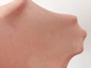 猪猪椰蓉小面包,打发好的面团撕扯后能形成薄薄的手套膜即可。