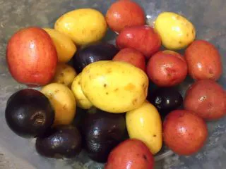 可以当零食又可以当主食的香煎小土豆,小土豆洗净外皮(不要去皮,因为皮也有营养功效)