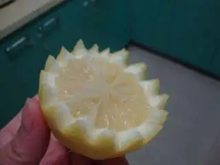 地中海青口贝,柠檬洗净擦干水,用花刀切两半,放在中间