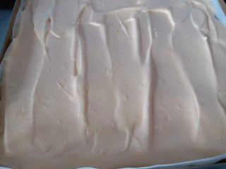 咸蛋黄肉松盒子蛋糕,拌均匀后的蛋糕糊装进烤盘里。我用的28*28的烤盘，下面需要用油纸垫着。表面用刮刀刮平整。 