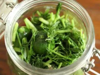 自制俄式酸黄瓜,接着放入茴香、香叶、辣椒、黑胡椒、芥末子