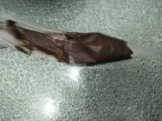 拉花半熟芝士蛋糕,将巧克力糊放入裱花袋中。