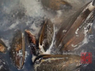 海鲜鲍鱼蝴蝶意面，其实西餐我也可以,煮蛤蜊三分钟，都是大火开了之后算时间的，在煮蛤蜊的时候可以加少量的葱姜在里边，为了去腥。