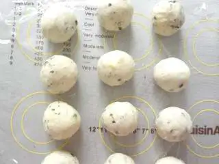 海苔芝士玛德琳咸面包,松弛好后的面团分成12等分滚圆盖上保鲜膜再次松弛10分钟