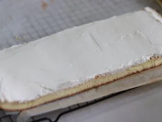 瑞士蛋糕卷之雪融蛋糕,做圣诞应景美食,抹到蛋糕片上。