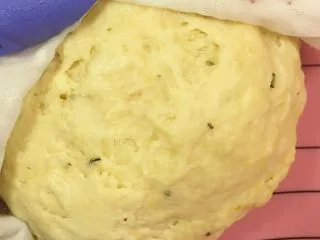 小白也会的奥尔良烤鸡腿披萨 「8寸薄脆版」,揉大概5分钟左右，面团就大概这样了，然后盖上湿布让面松弛醒10分钟-15分钟。