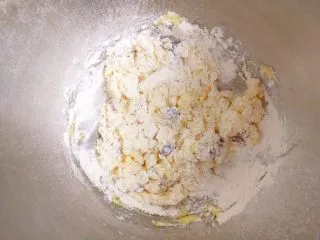 蔓越莓黄油曲奇,放入蔓越莓干，切拌