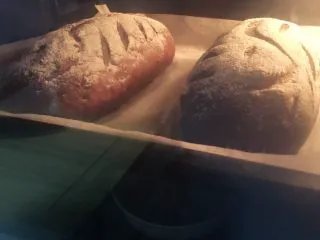 可可麻薯软欧包,烤箱预热 170度上下火烤30分钟左右 PS:烤箱温度仅供参考;