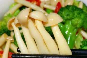 清爽海鲜菇美食大全(用海鲜菇轻松做出口感清爽的美味)