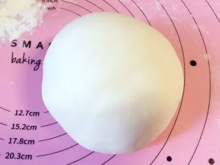 马卡龙色 高颜值汤饺系列@@ 猪肉大葱馅●麦穗饺,我们把醒了的面，再揉5-10分钟，它变这么光滑好看，那就是它可以出嫁的时候了。